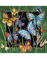A garden filled with Butterflies!