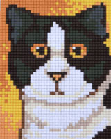 Pixel-Hoby is a new mini-mosaic craft. Ideal for anyone from 8 - 80. With it you can create beautiful designs from ready-to-assemble kits.