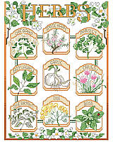 Wonderful details, delicate colors and a vintage seed packet label feel make this botanical style sampler a coveted piece. Featuring nine culinary herbs: oregano, rosemary, parsley, bay laurel, garlic, chives, spearmint, dill, and basil. This design, whether stitched as individual herbs or as a complete sampler, would make a cheerful décor for your kitchen or 'she shed'.
