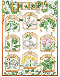 The Herb Garden - PDF: Wonderful details, delicate colors and a vintage seed packet label feel make this botanical style sampler a coveted piece. Featuring nine culinary herbs: oregano, rosemary, parsley, bay laurel, garlic, chives, spearmint, dill, and basil. This design, whether stitched as individual herbs or as a complete sampler, would make a cheerful décor for your kitchen or 'she shed'.
