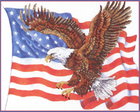 Being an American is certainly something to be proud of. It provides us with the freedoms and luxuries we are so fortunate to have. What better way to display our loyalty than this gorgeous piece worked on pre-printed Aida cloth.