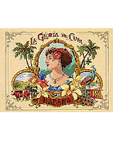 Vibrant and romantic, capturing the lush beauty of the Caribbean