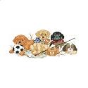 The Sports Team - PDF