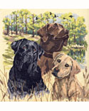 Man's Best Friend