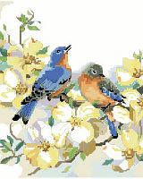 A charming bluebird couple resting upon a dogwood branch 