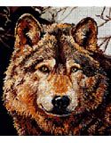 Wolf: This handsome fellow brings a taste of the wild into your home. Counted Cross Stitch design by Linda Gillum.