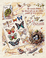 Drawings from a naturalist's notebook. Conjure up a walk in the woods with this item. Counted cross stitch design by Nancy Rossi.