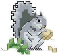 Squirrel