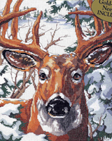 Enjoy this trophy quality deer on your wall.