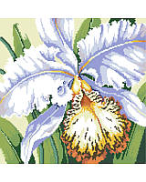 Elegant and subtly exotic, this beautiful cross stitch orchid infuses a sense of luxury to your decor. Makes a great gift for the gardener in your family. Surprise them for their birthday, Mother’s Day or simply to celebrate spring.

