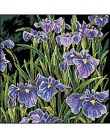 Infuse your home with the color and beauty of this Iris-inspired cross stitch that will bring a room to life with artistic, refined style. This collection of irises will provide seasons of color and flair. The deep purples, line greens and black background make this big design a bold addition to any room.