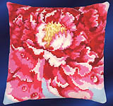 Bold Splash of Color!