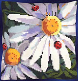 Fresh as a Daisy!