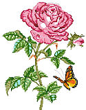 Rose Beauty - PDF