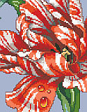 Striped Parrot Tulip Big Stitch - PDF: This gorgeous Parrot Tulip in Big Stitch is the companion piece to our Striped Parrot Tulip design #1258. This floral by Barbara Baatz Hillman is a cropped image of the tulip in full bloom.