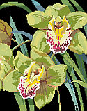 Orchids - PDF : Exotic and elegant, Cymbidium orchids leap off the black background of this beautiful classic floral design by Nancy Rossi.