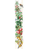 Four Seasons Bell Pull - PDF: The unique beauty found in each of the Four Seasons captured in this Counted Cross Stitch bell pull design. 