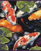 A Beautiful Koi Pond