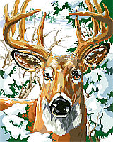 Staring right at you is a perfect ten point buck, surrounded by fir trees laden with snow. 