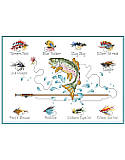 Fly Fishing - PDF: Featuring elegantly framed and colorfully detailed fly baits, this fly fishing cross stitch adds simple, rustic charm to any décor. Relive summers spent fishing at the lakes and streams with family. Remember when you learned to tie up a fly fishing rig, reel in a Rainbow trout, clean it, and fry it up for dinner! This colorful piece is a informative and a great gift for any fly fishing enthusiast. 
