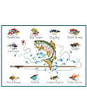 Fly Fishing - PDF: Featuring elegantly framed and colorfully detailed fly baits, this fly fishing cross stitch adds simple, rustic charm to any décor. Relive summers spent fishing at the lakes and streams with family. Remember when you learned to tie up a fly fishing rig, reel in a Rainbow trout, clean it, and fry it up for dinner! This colorful piece is a informative and a great gift for any fly fishing enthusiast. 
