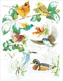 Bird Sampler  - PDF