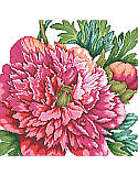 A Perfect Peony - PDF