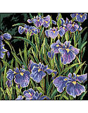 Irises  - PDF: Infuse your home with the color and beauty of this Iris-inspired cross stitch that will bring a room to life with artistic, refined style. This collection of irises will provide seasons of color and flair. The deep purples, line greens and black background make this big design a bold addition to any room.