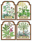 Herb Seed Packets - PDF: Are you going to Scarborough Fair? Parsley, sage, rosemary and thyme.  The classic British folk song re-imagined by Simon and Garfunkel is illustrated here by designer Jorja Hernandez in the way of seed packets to represent the promise of a good harvest. It also remind us of the beneficial qualities of all of these good herbs. 