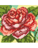 Rose - Chart