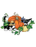 Spooky Kitty - PDF: This curious and playful kitten visits the pumpkin patch on an Autumn day, happy to have found a feathered friend! 