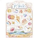 Sea Shells Sea Shore - PDF