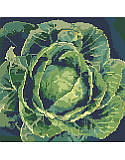 Glorious Cabbage - PDF: Enjoy the feeling of a long walk through green gardens when you adorn you walls with this vibrant vegetable patch-inspired art. Makes a great addition to any farmhouse kitchen! Simple and crisp, this study in green is a classic.
